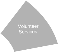 Volunteer 